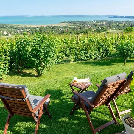 In - Balaton 53130 * Замарди