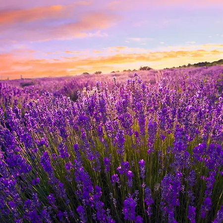 Apartamento In - Balaton 53130 Zamárdi