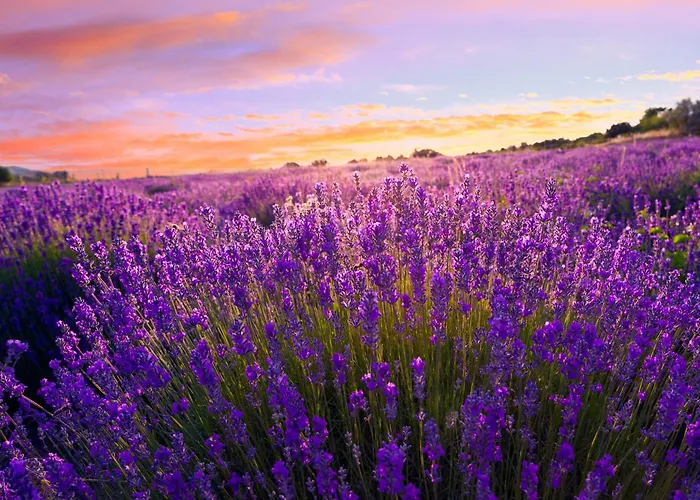 Appartement In - Balaton 53130 Zamárdi